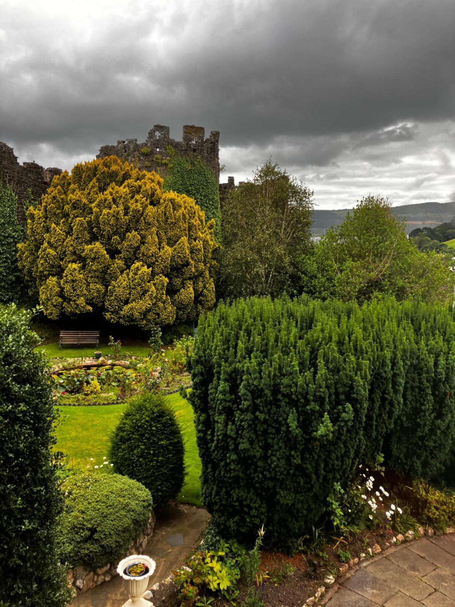 Bryn Guest House Conwy Εξωτερικό φωτογραφία